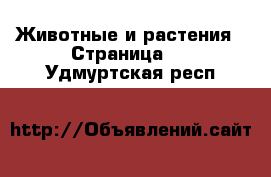  Животные и растения - Страница 2 . Удмуртская респ.